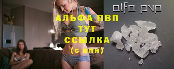дмт Ладушкин