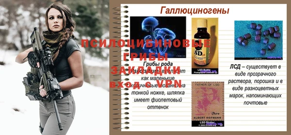 спайс Липки