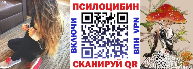 Купить где  Нязепетровск  Псилоцибиновые грибы прущие грибы 